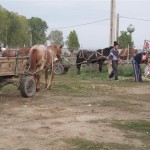 34-marche de patulele (Small)