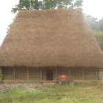 54-maisons traditionnelles en bois et chaume (Small)