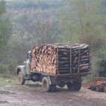 38-exploitation forestiere serbie 141 (Small)
