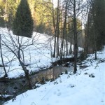 En forêt noire près de Baiersbronn (Small)