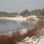 Les abords du lac de Senftenberg (Small)