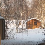 Ma cabane au fond de la forêt (Small)