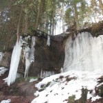 cascade gelée (Small)