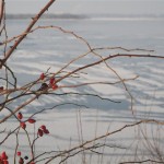 lac gelé de Senftenberg (2) (Small)