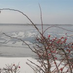 lac gelé de Senftenberg3 (Small)