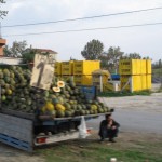 63-vente au bord de la route 236 [640x480]