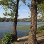 PHOTOS SLOVAQUIE reveil au bord du fleuve à trencin