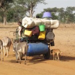 TRANSHUMANCE D'UNE FAMILLE PEUL (Small)