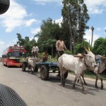 TRANSPORTS LOCAUX