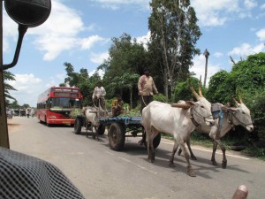 TRANSPORTS LOCAUX