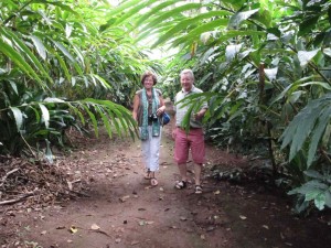 SOUS LA CARDAMOME